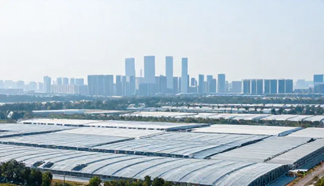 企业信息管理中的数据混乱问题及解决方向
